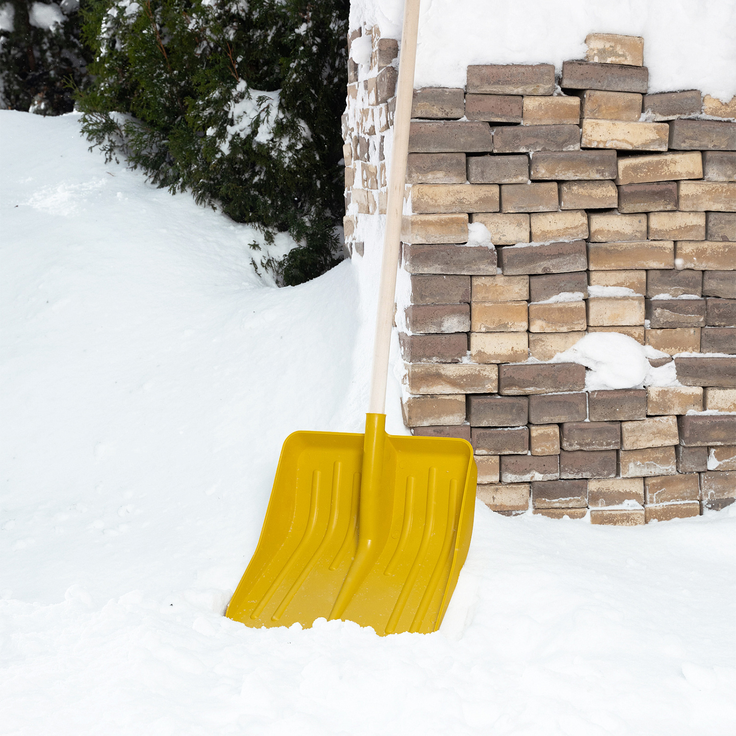 cee57556fc32881a1c51878614d3df9de962a9e9_61616_4