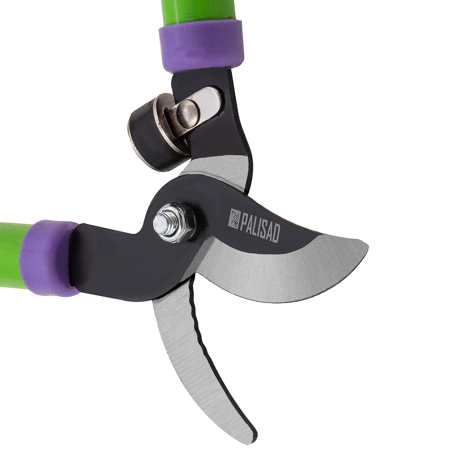 f29c69cf0986926bb0bff0f2c6f3a84e2154350c_60521_r7