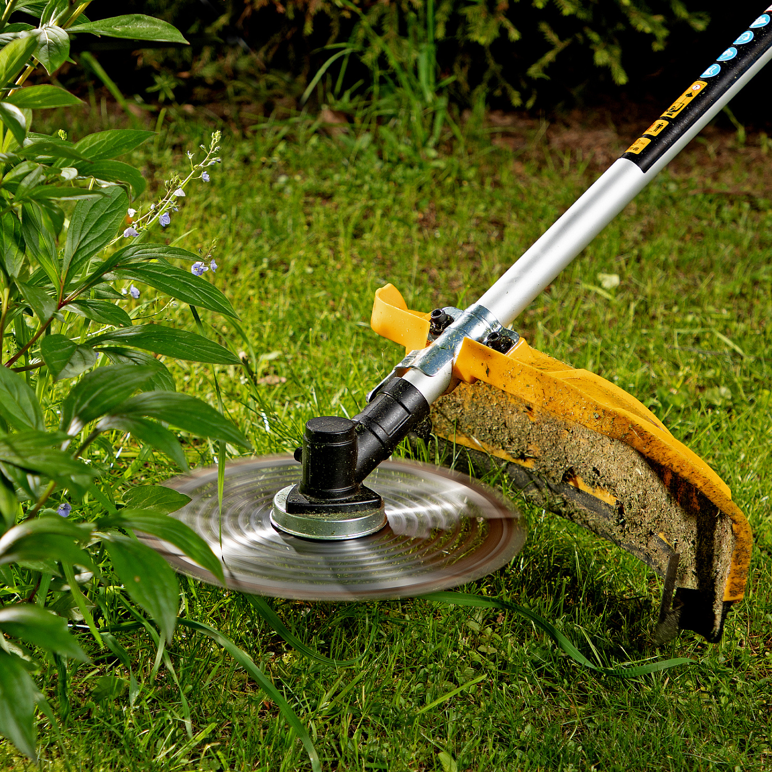 2aa260e253c5b473597500d5f61444f4f283f678_96265_4