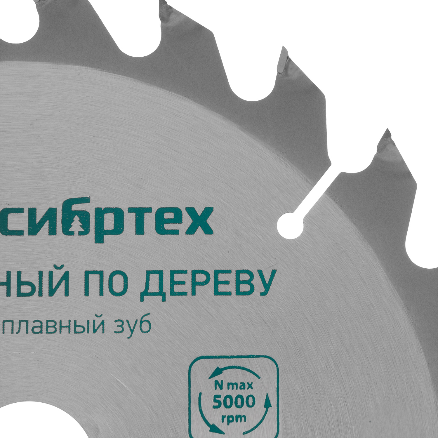 d3117701678a204e2e057239dce80451c4e8e208_732667_003