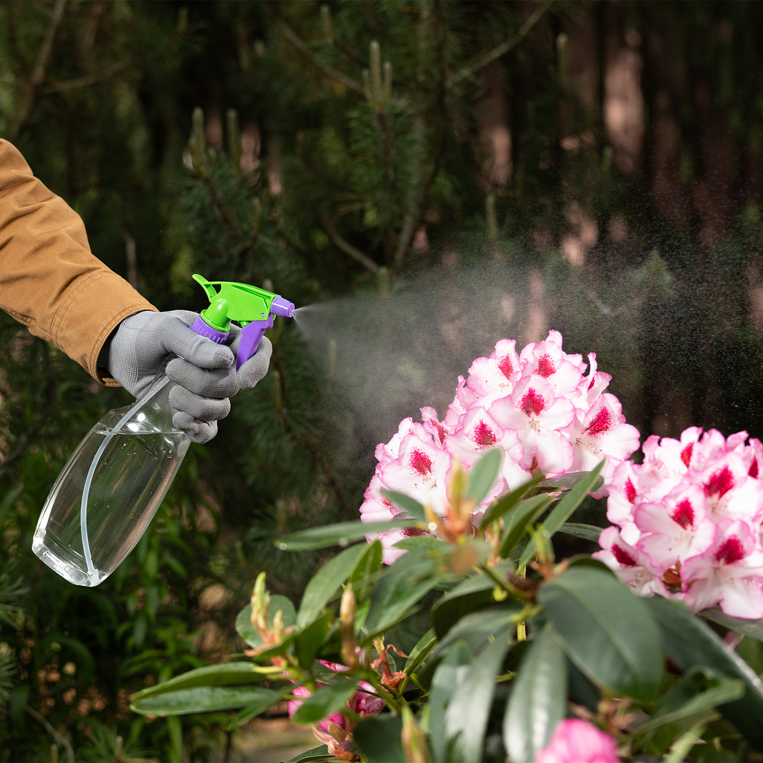 5732f109297fffa33bd17a46d9bdba061d40c009_64732_3