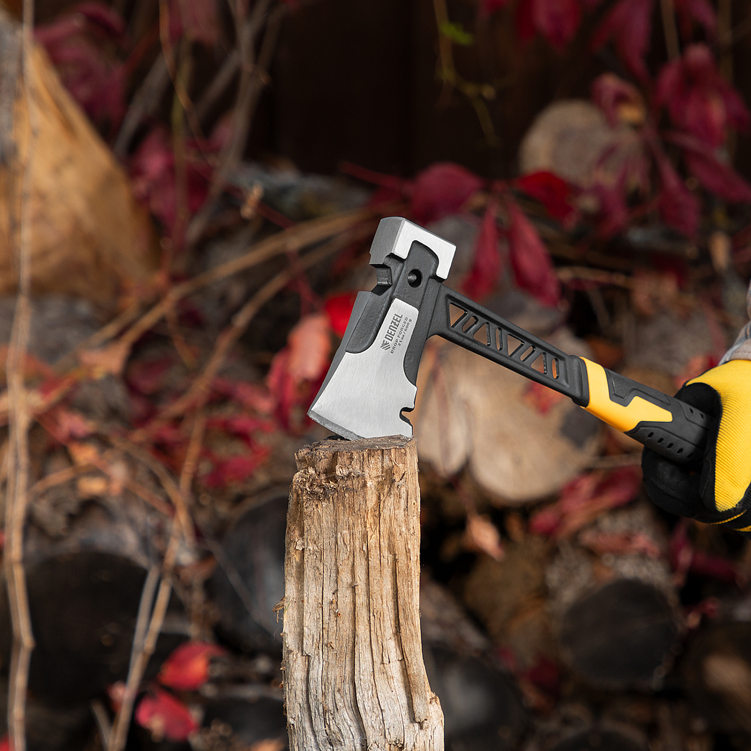 b76baf3c9c310c1f62c69f183020a57b1fec8ba2_21499_l01