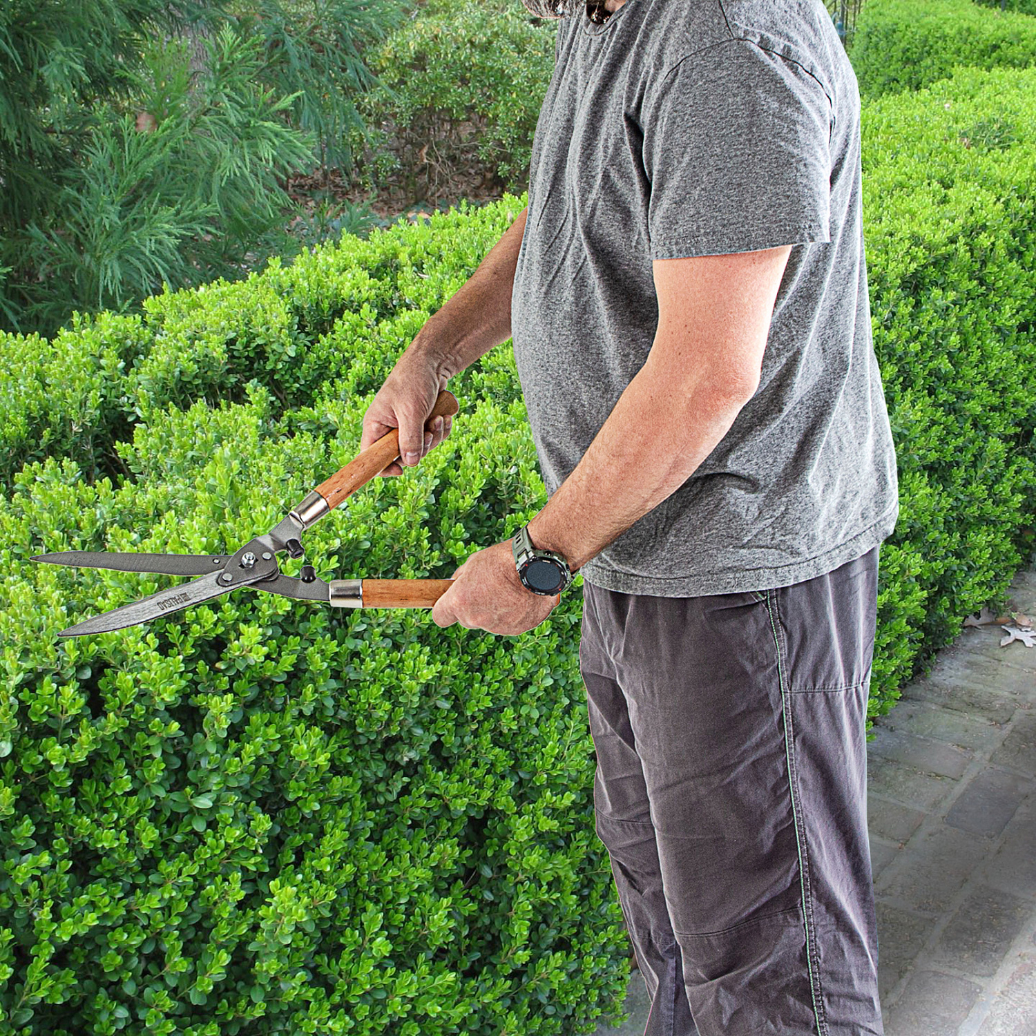 58659c78aa43c9e9c442237de79e115550f2f5b4_608375_6