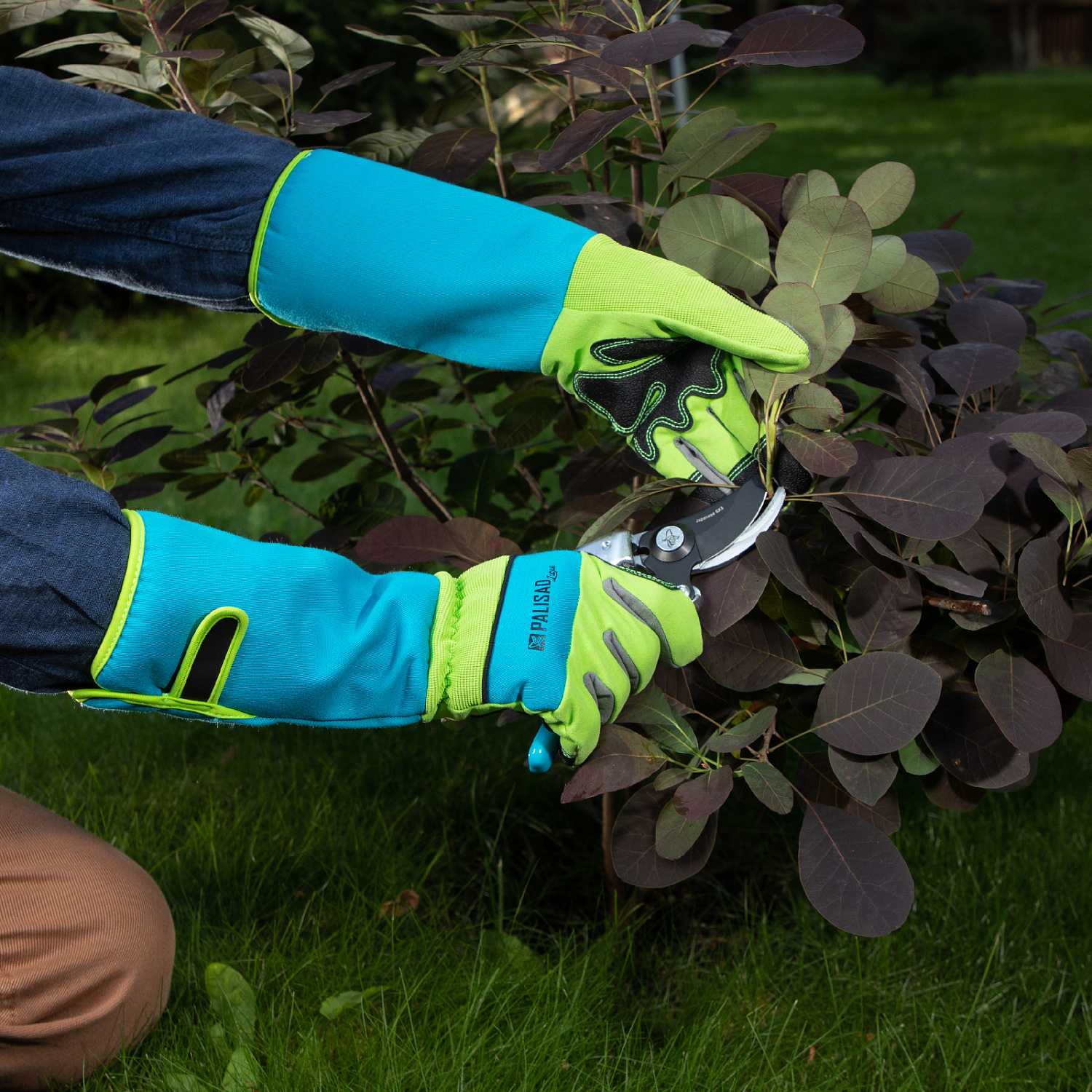 e01e47effd619677839476e4f8d15da3fce36651_67983_4