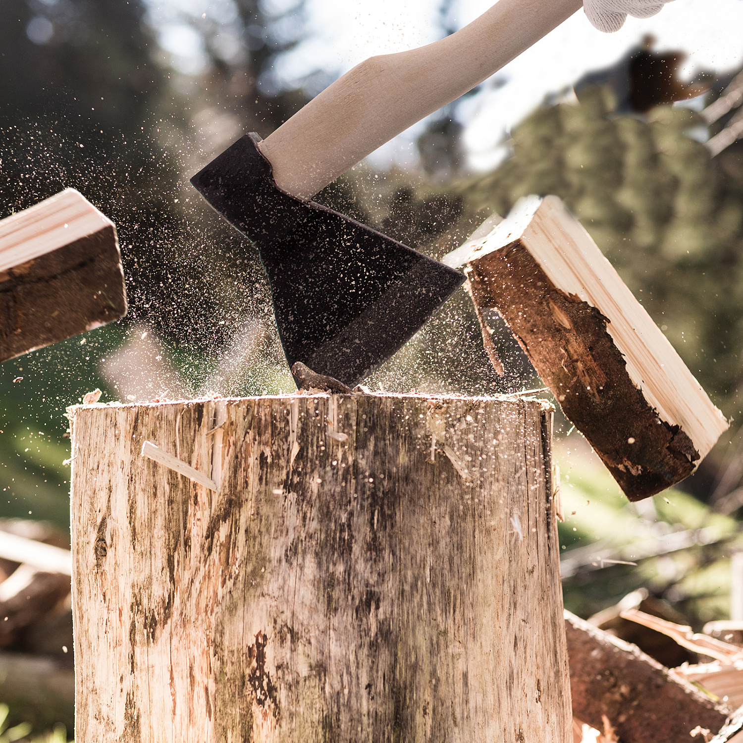 fec5ba7e89a5e563d5b3a346d9580e6a0471de6b_21663_8