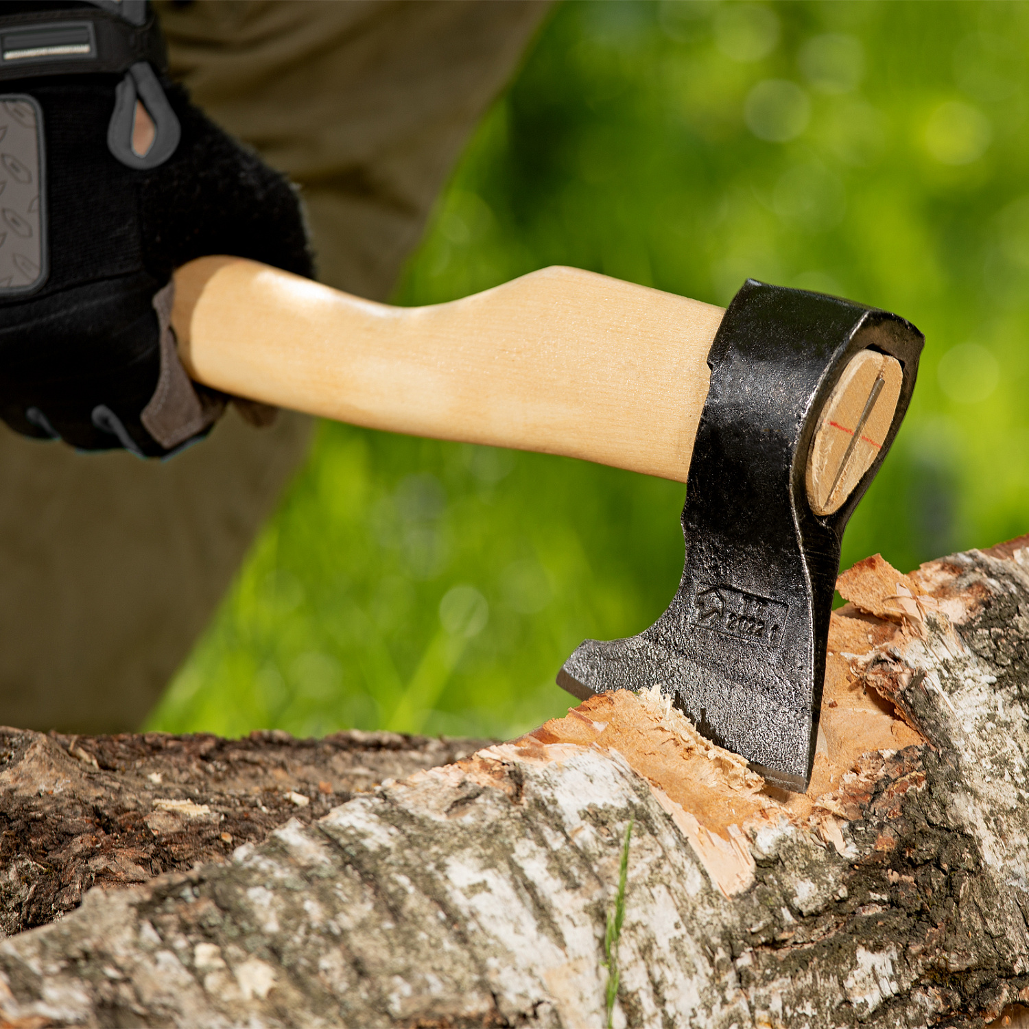 b012e52293f279450540a8573636287633c996b6_21666_6