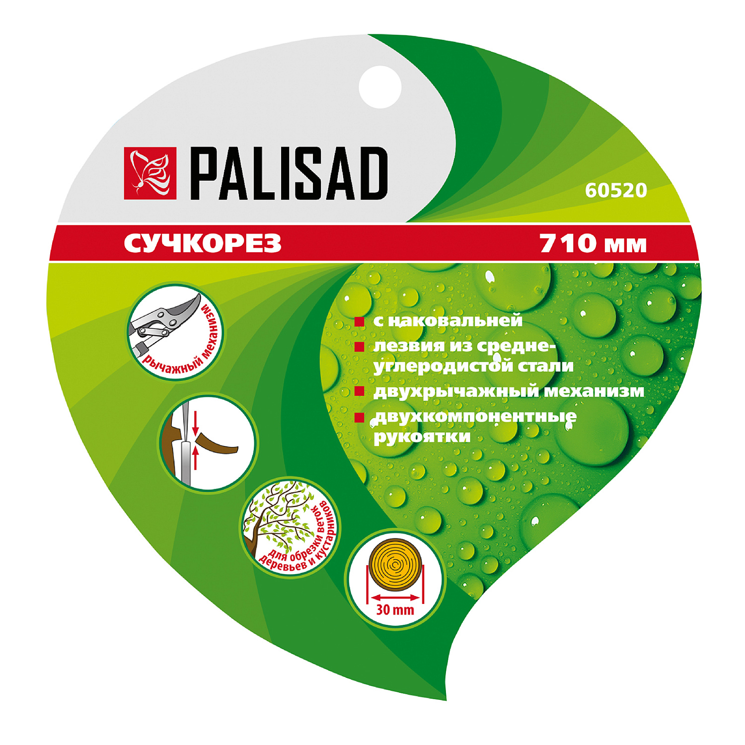 e1a6d3a95f61aa02b68107b24d1477d39b9ad2f1_60520_004