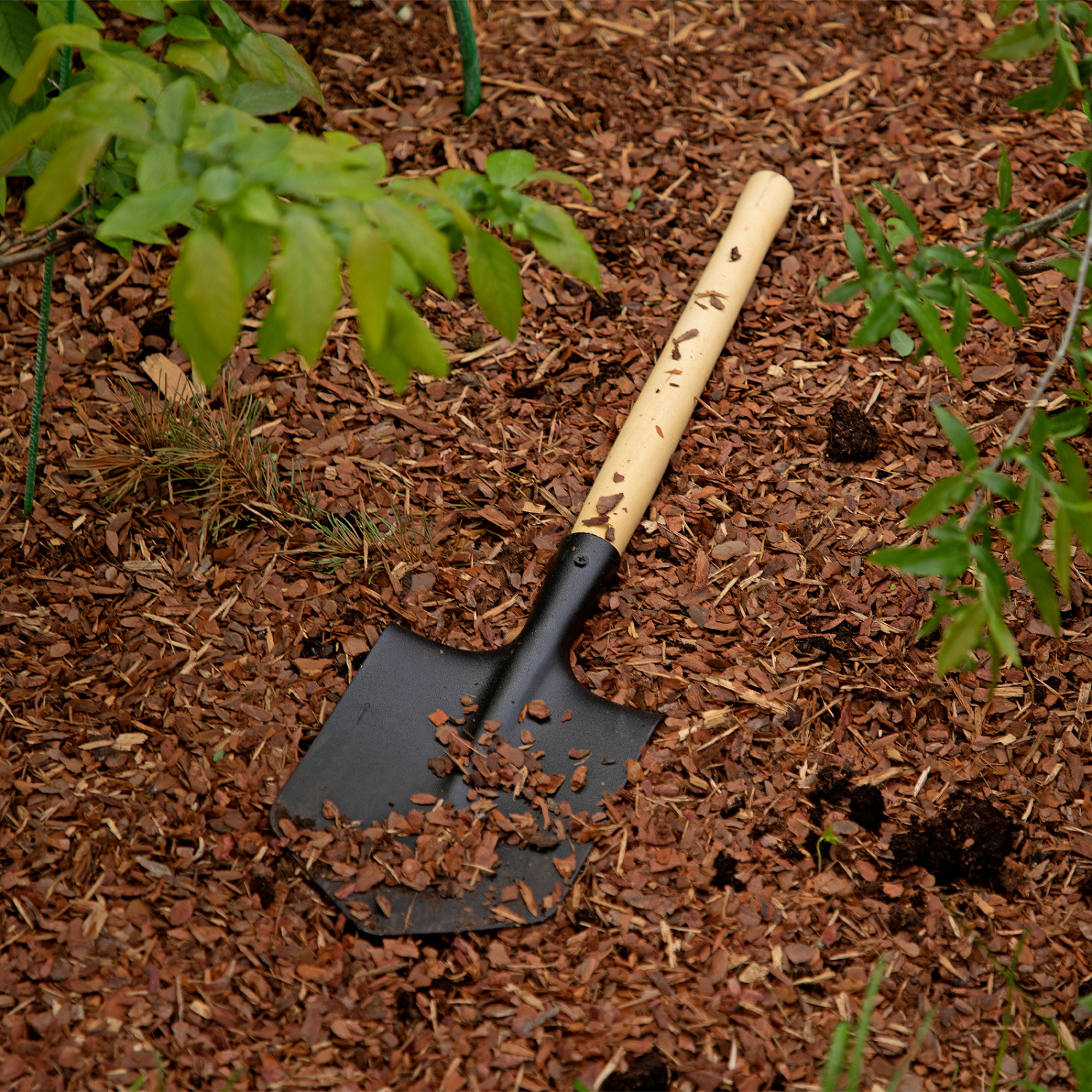 0a2d768eaa711a54db2ce1c71f34aaca989c0d98_61425_004