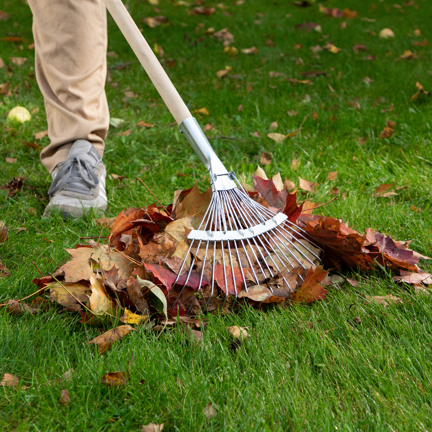 75c6c6e861ee77577ed72bb1c35500c842ec6c04_61780_r01