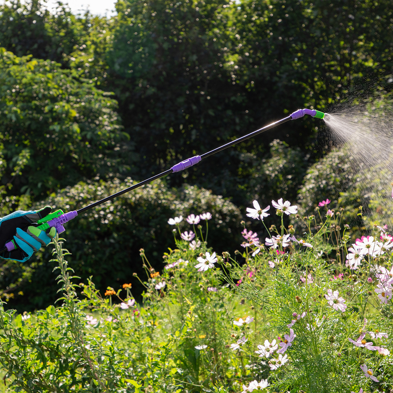 1c51d9963ac8de90824a504dd638bfe4df267749_64750_7