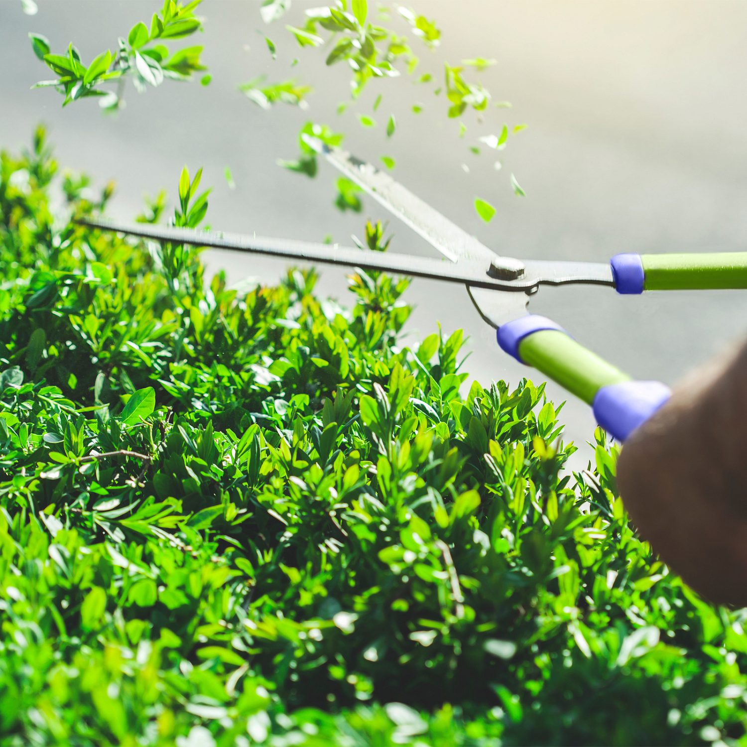 726834ae8b2c90e44f34a13e0432bb5d2271824f_60562_8