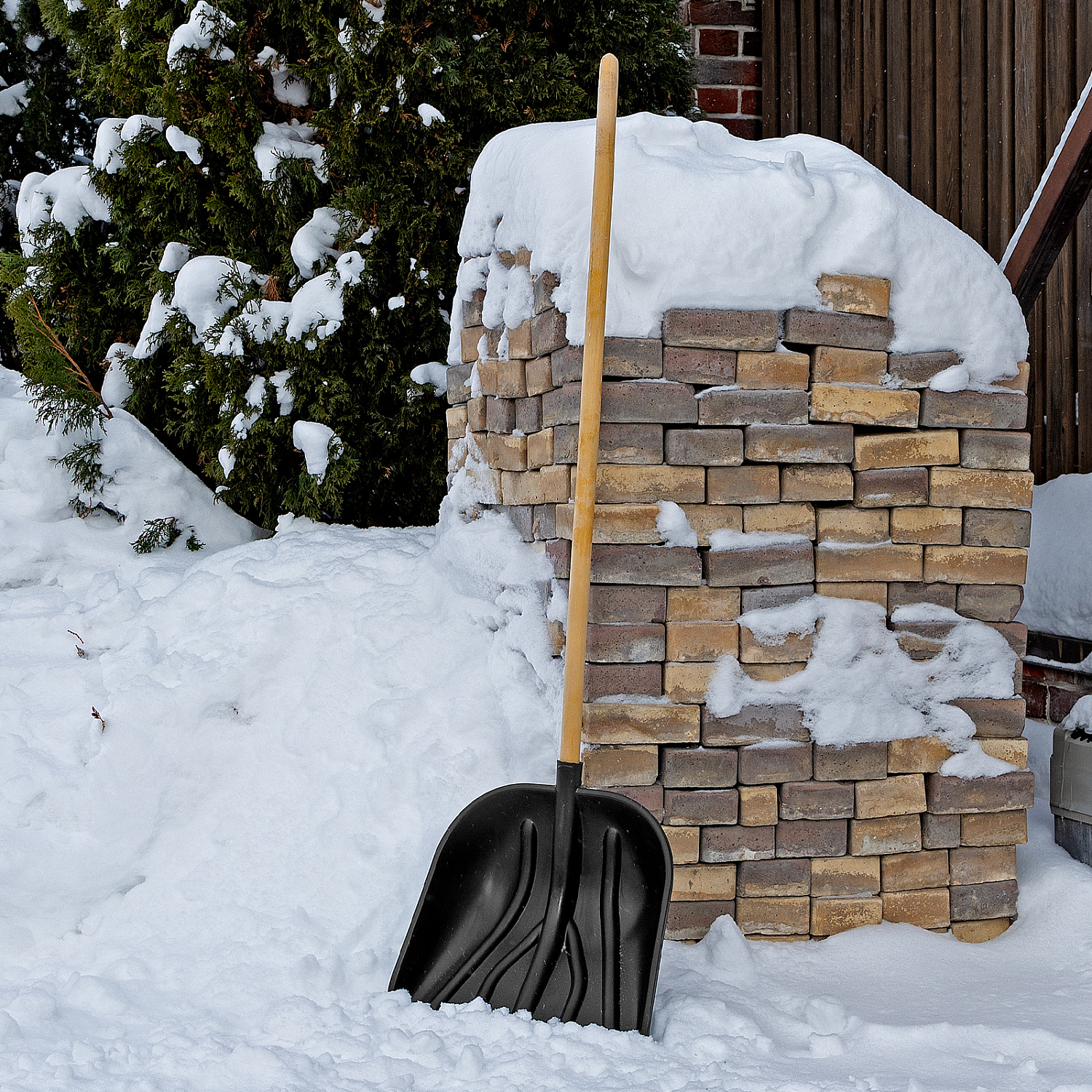 3bb66489c208bc21d40a3a1da7a439b5da81bc37_614875_r01