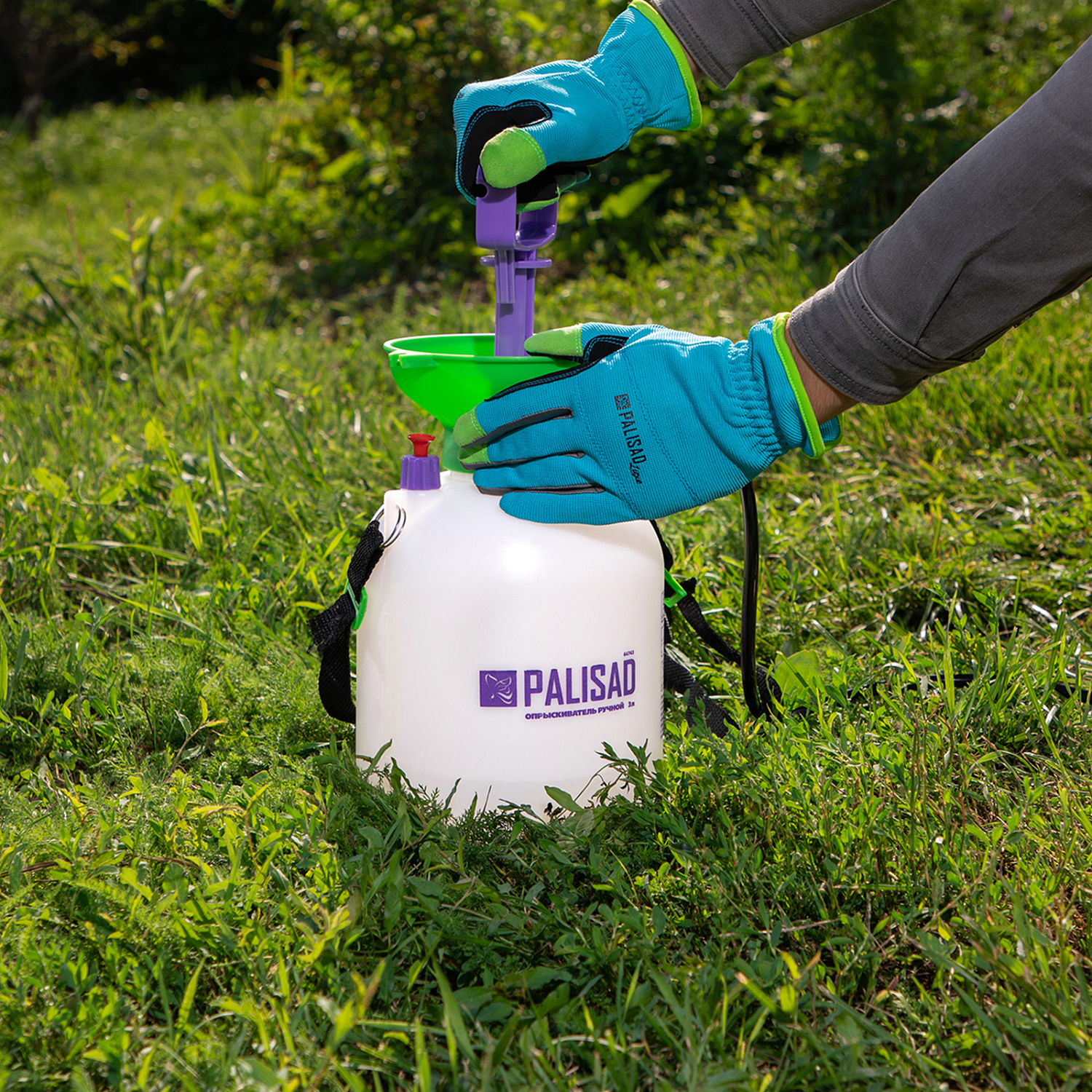 7b5f31d98767a17a55e7775b4e0b54d31b9b4e68_64743_r003