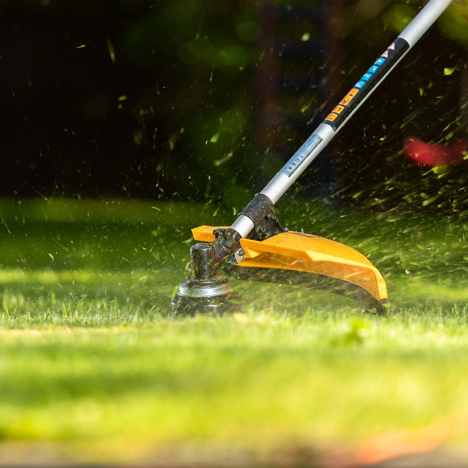 ca04bcc84e1a40c448d54150839b26ec9eb97464_96223_7