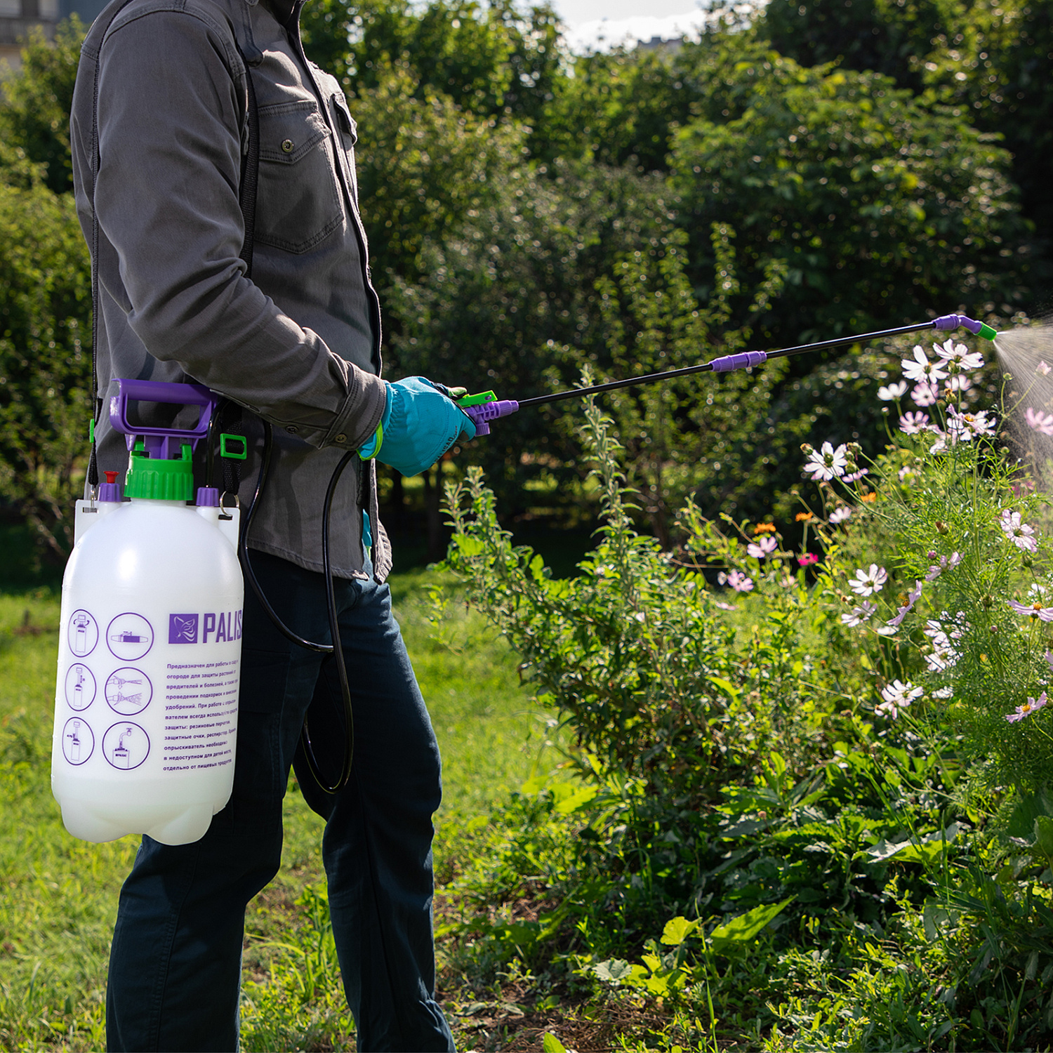 2c69310f0b65e2bd1d4d566db70604430dbeed6a_64750_8