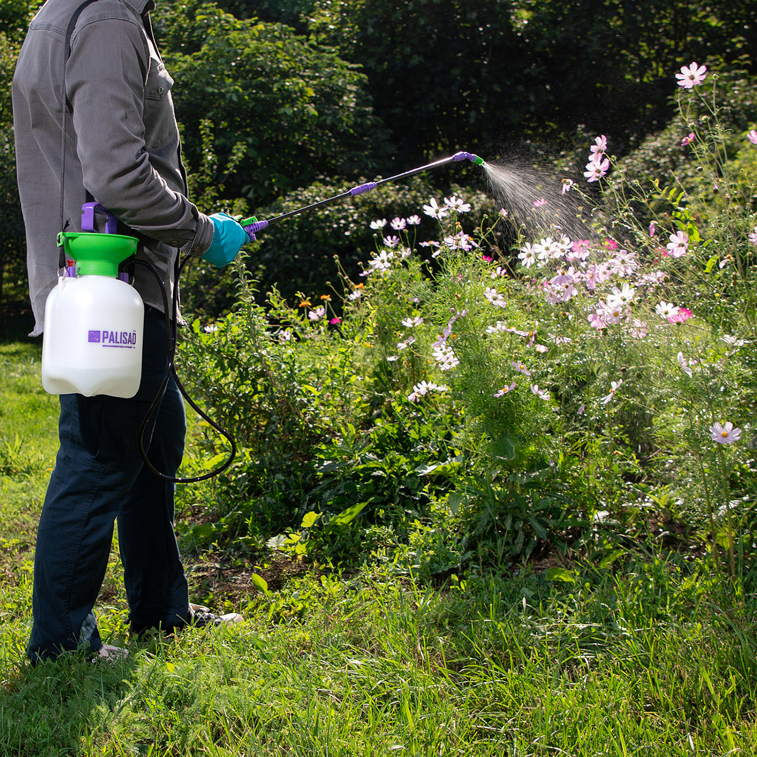 6ed6bb0120275340de0dd807eb1f1b6828746af7_64743_8