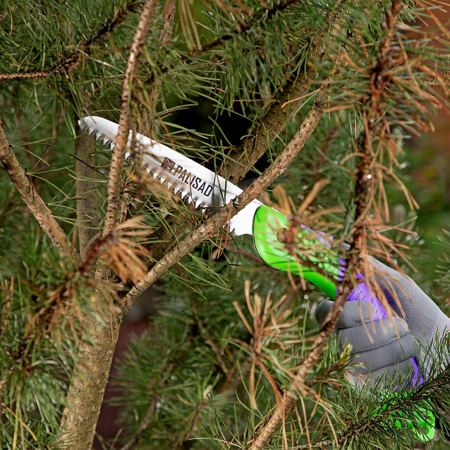 7d79eed075db116bcfd9e0721a11c6d21ea67f6b_604145_5