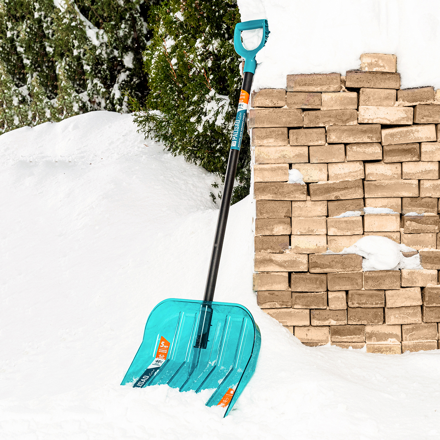 e7958e137bf25852bd71f0b1733ad5fd09d75f6e_61690_r04