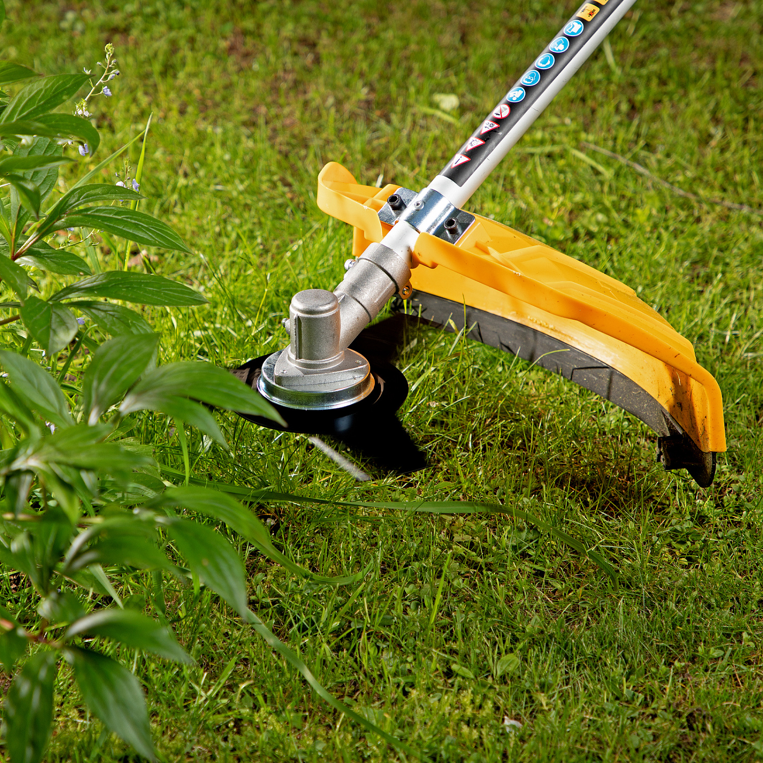 18c6d5506f6b0cd4c7e754e2735819c815fc47c1_96612_13